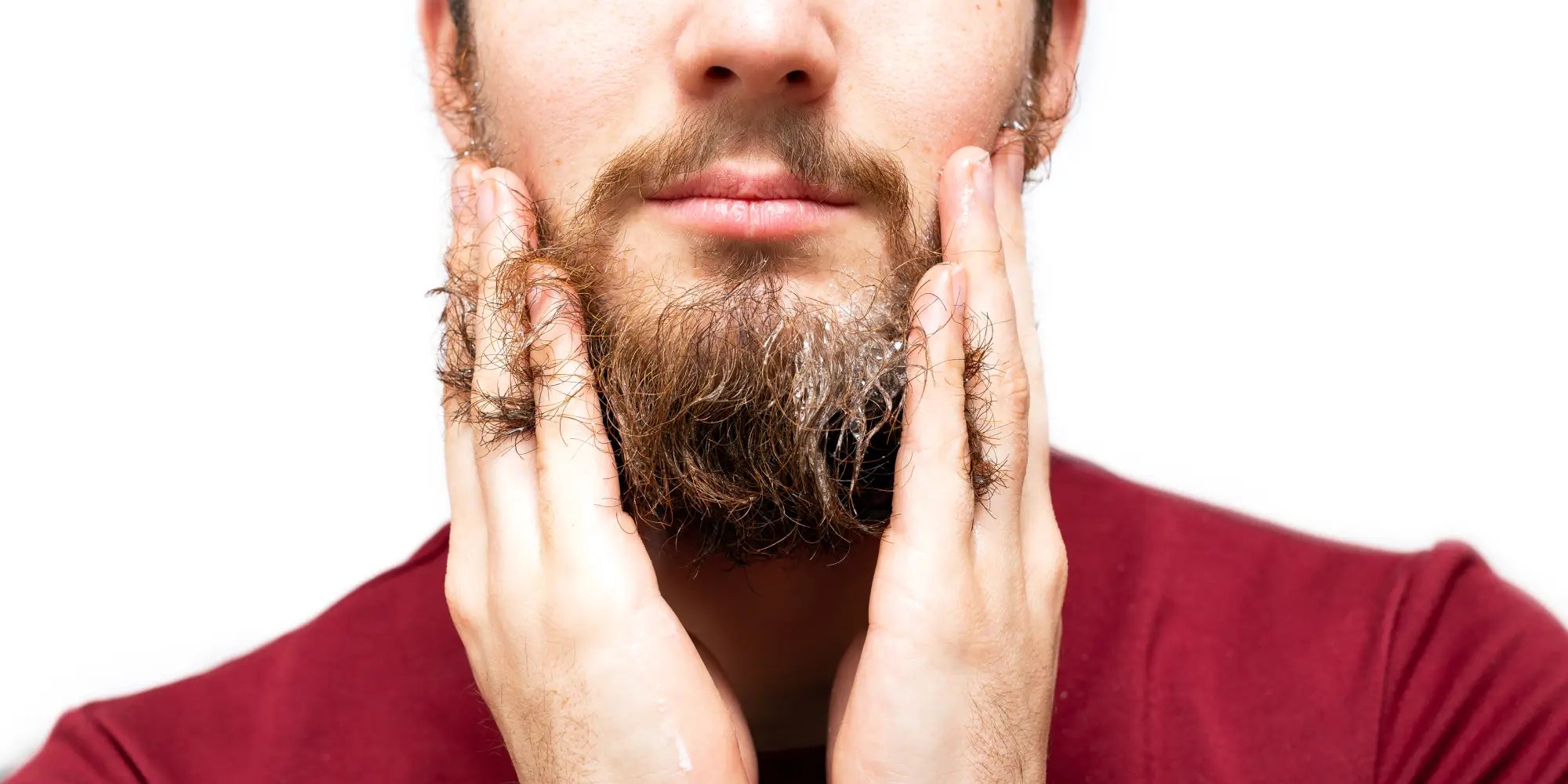 Shampoing Barbe - Orsoko